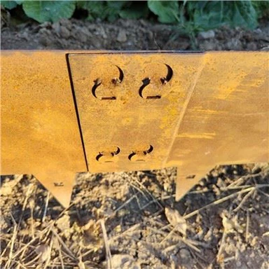 גבולות גן משולבים עם שיניים