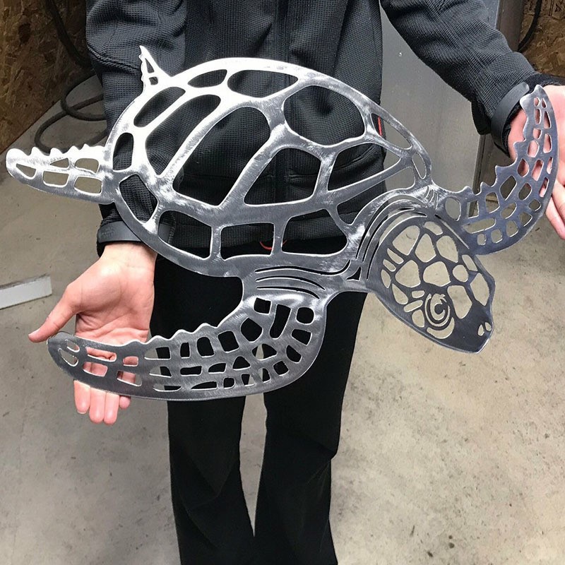 Metal Turtle 2 Metal Turtle 2