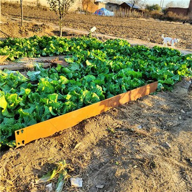 מעקה בטיחות לעץ